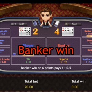 Can You Win Money Playing Baccarat